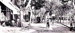 1739- Medea - Avenue2 de la Gare en 1906